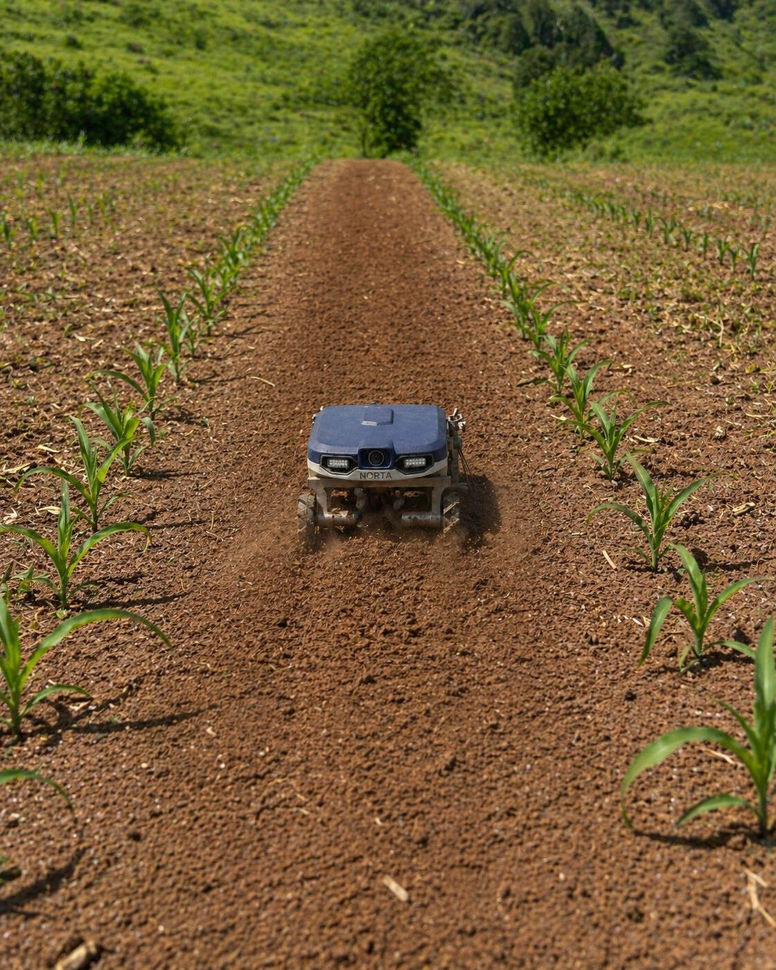 Robô Norta em contexto de operação agrícola